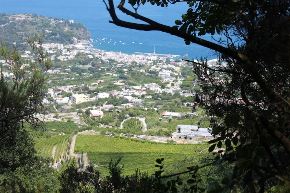 Hotel Regina Palace Terme Ischia Zewnętrze zdjęcie